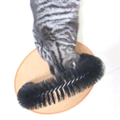 Cat Brush Scratcher