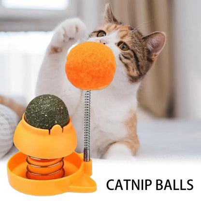 Catnip Wall Toy