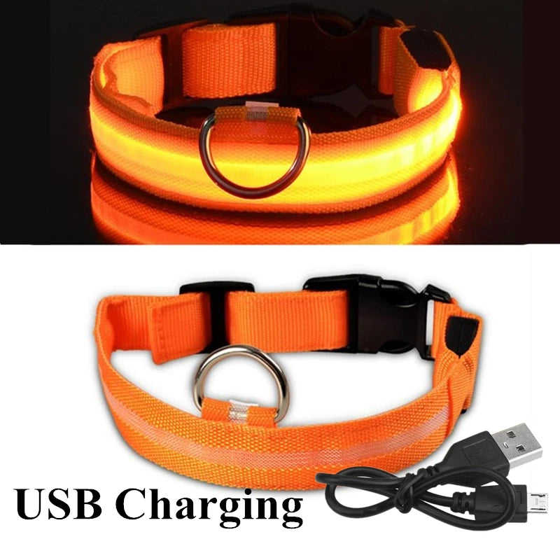Rechargeable LED Glowing Dog Collar