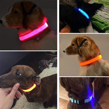 Rechargeable LED Glowing Dog Collar