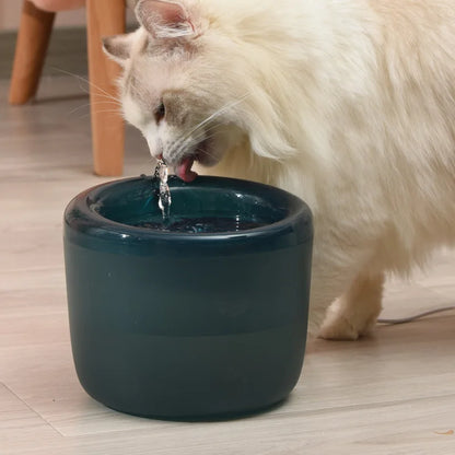 Automatic Water Dispensor For Cats